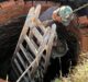 Provincia intervino escuela de Federal para garantizar el agua potable