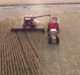 Entre Ríos logró el mejor rendimiento agrícola de los últimos 25 años