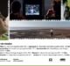 Este martes comienza una nueva programación del Cineclub Noble