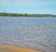 Quedó habilitada la playa del Thompson para disfrutar del río Paraná